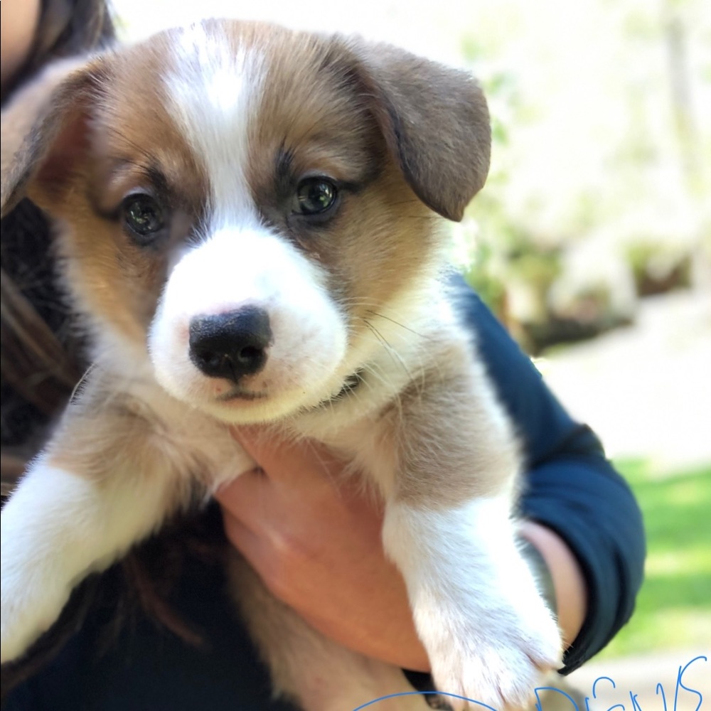 Meet your Posher, Stephan